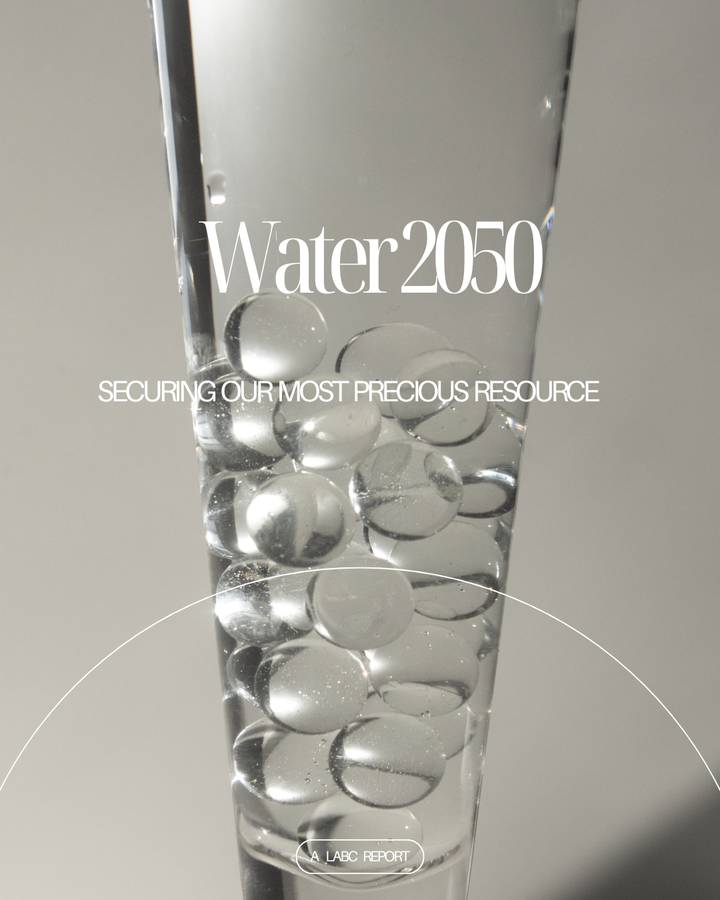 Water 2050: Securing Our Most Precious Resource